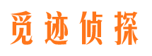 市南市私家侦探